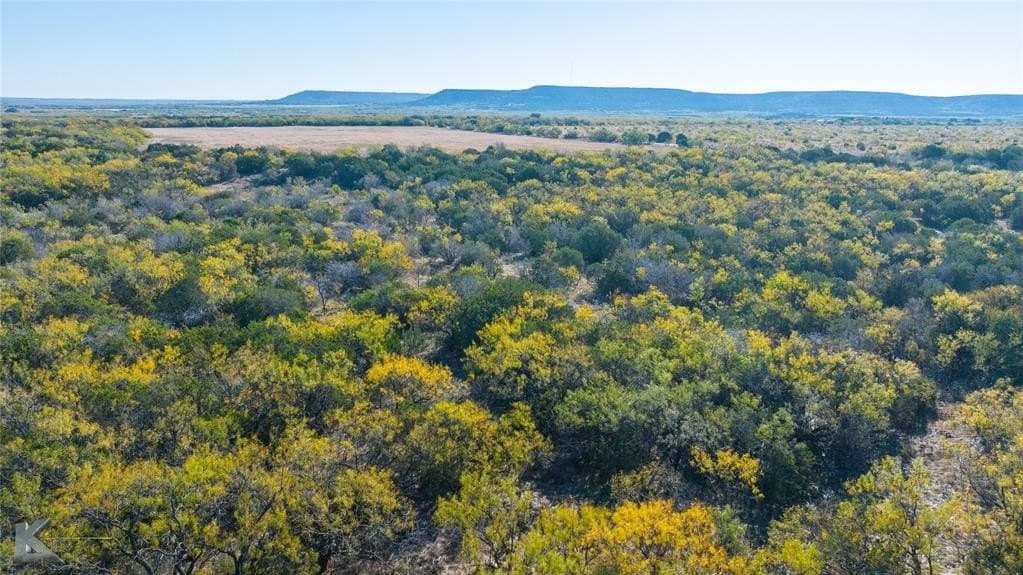 26 acres in Taylor County - photo 21
