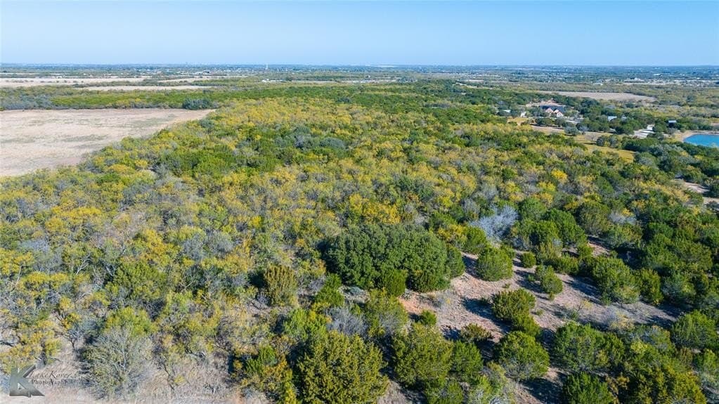 26 acres in Taylor County - photo 9