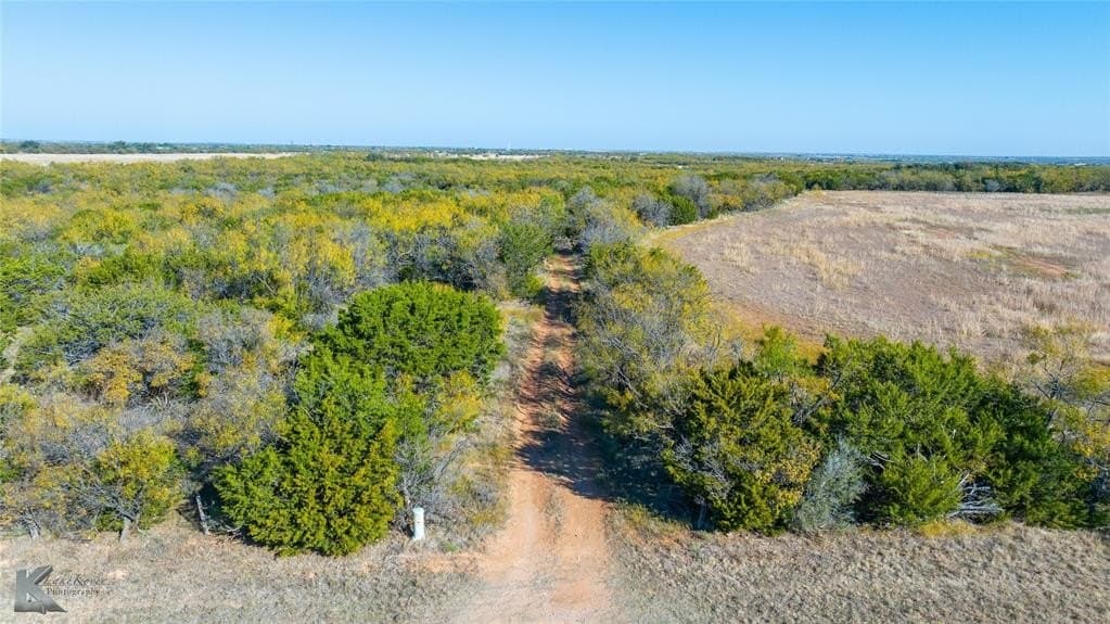 26 acres in Taylor County - photo 29