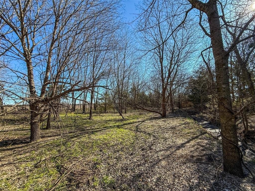 69.89 acres in Delta County - photo 17