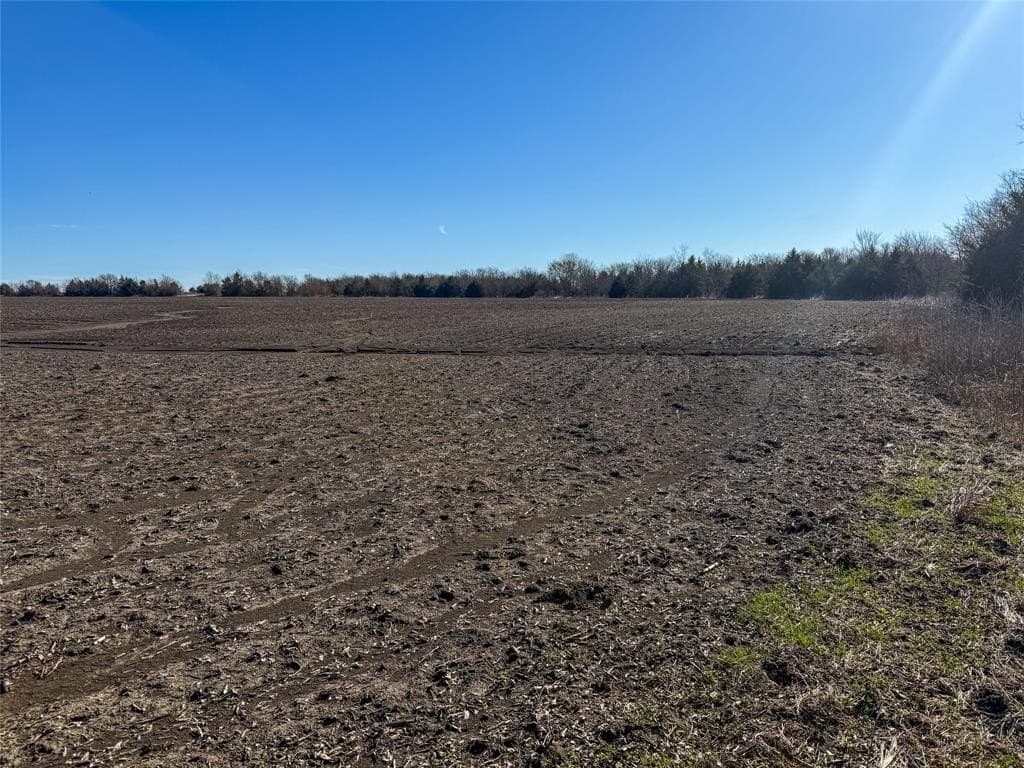 69.89 acres in Delta County - photo 18