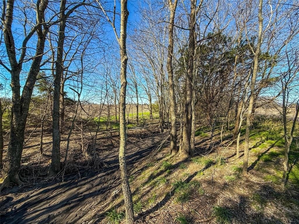 69.89 acres in Delta County - photo 13