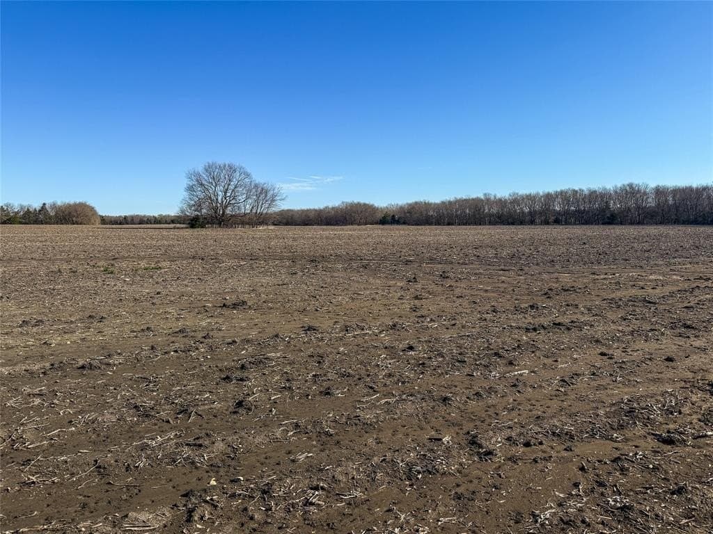 69.89 acres in Delta County - photo 14