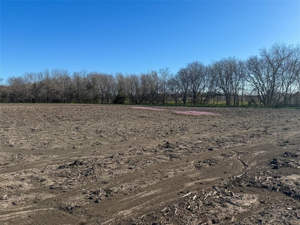 69.89 acres in Delta County - photo 12