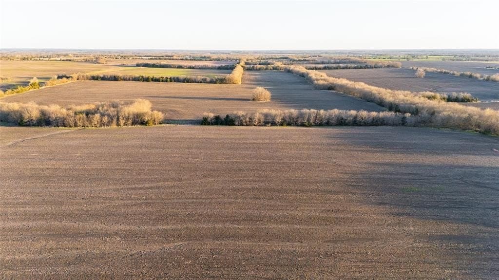 69.89 acres in Delta County - photo 7