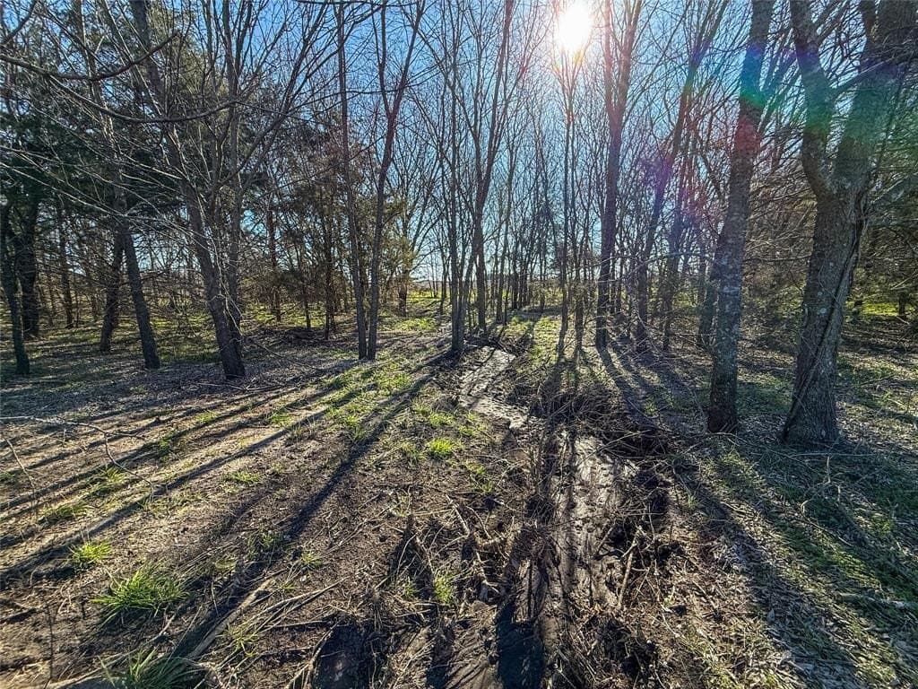 69.89 acres in Delta County - photo 16