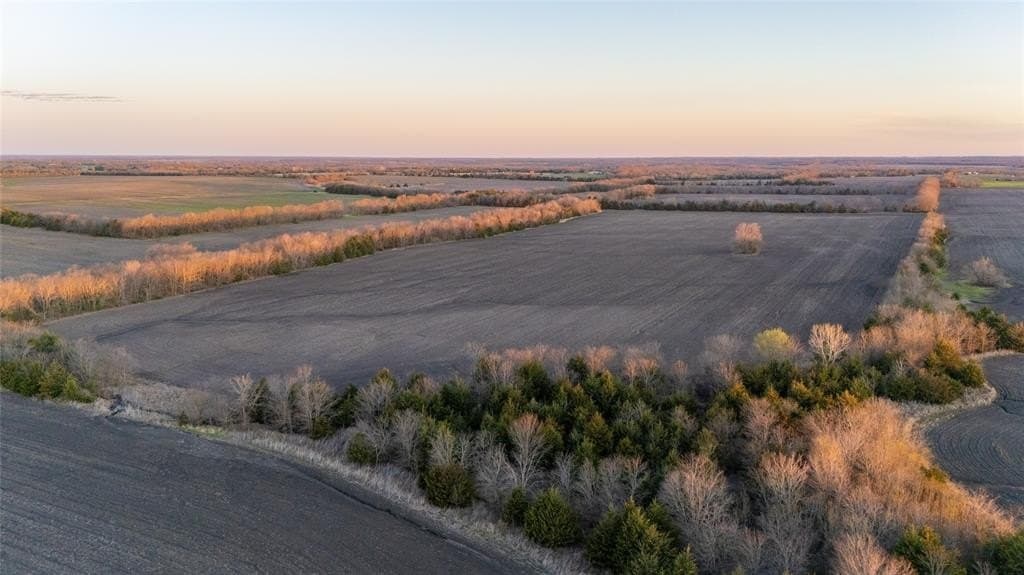 69.89 acres in Delta County - photo 3