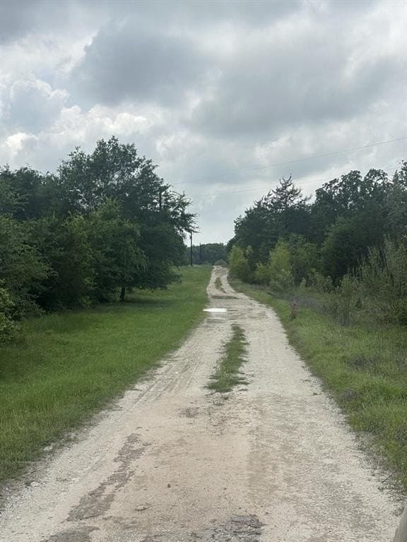 50.89 acres in Limestone County - photo 10