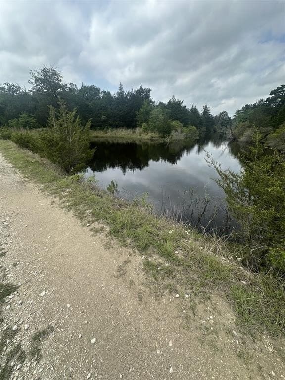 50.89 acres in Limestone County - photo 9