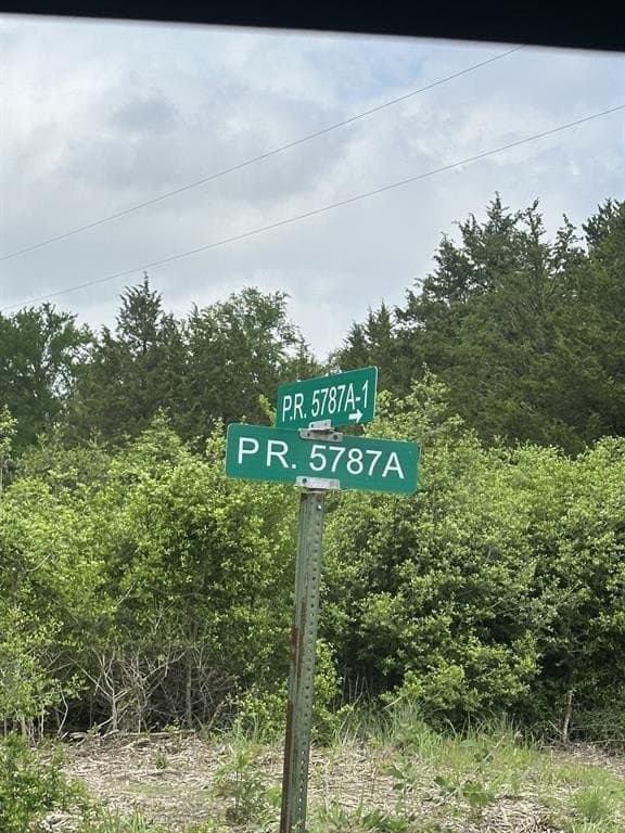 50.89 acres in Limestone County - photo 14