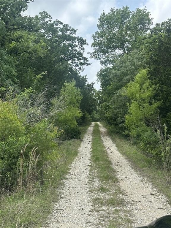 50.89 acres in Limestone County - photo 12