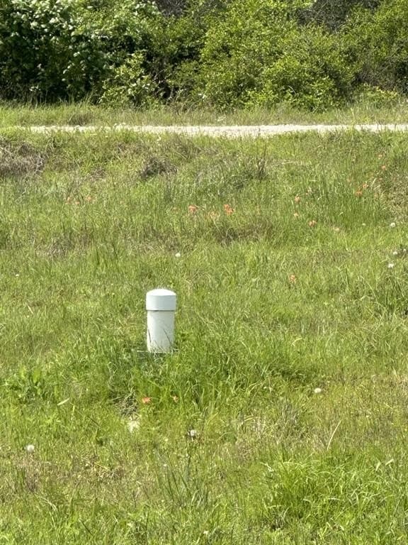 50.89 acres in Limestone County - photo 7