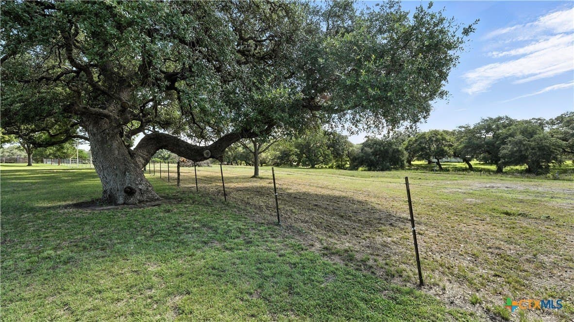 56.89 acres in Lavaca County - photo 4