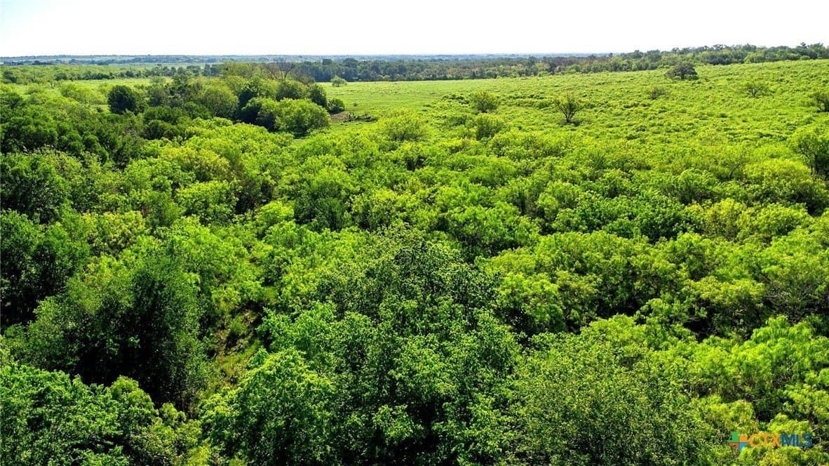 10.01 acres in Gonzales County - photo 15