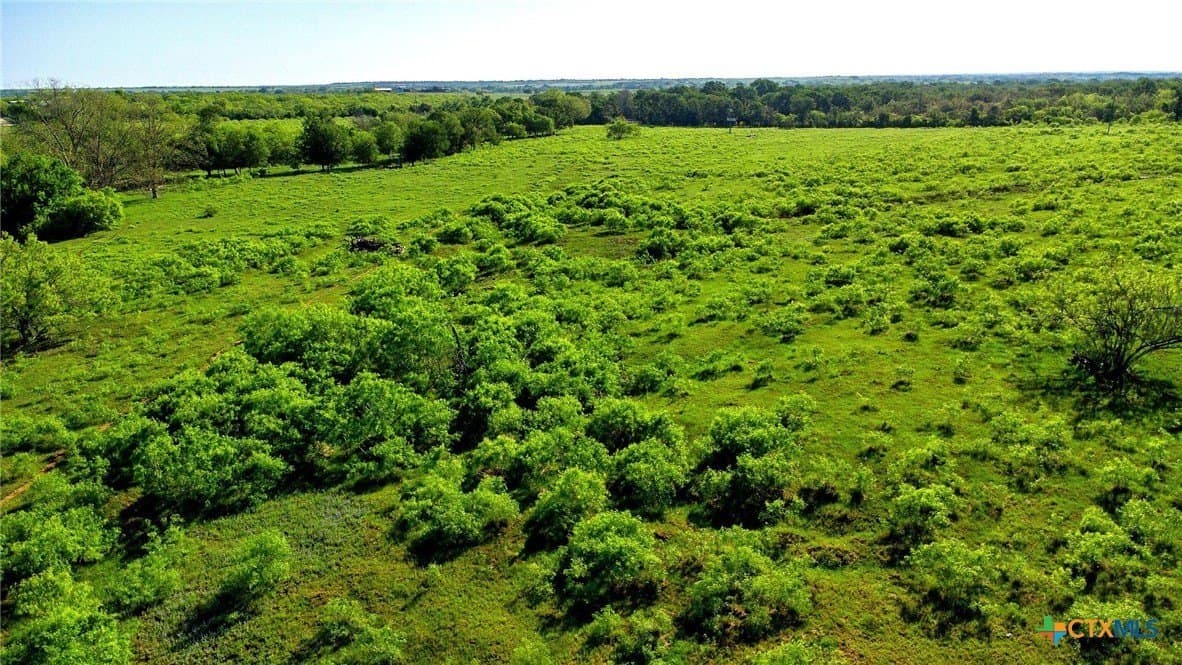 10.01 acres in Gonzales County - photo 14