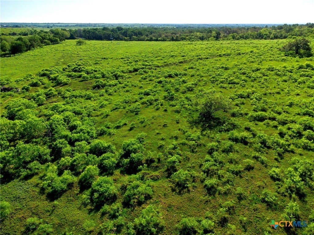 10.01 acres in Gonzales County - photo 13