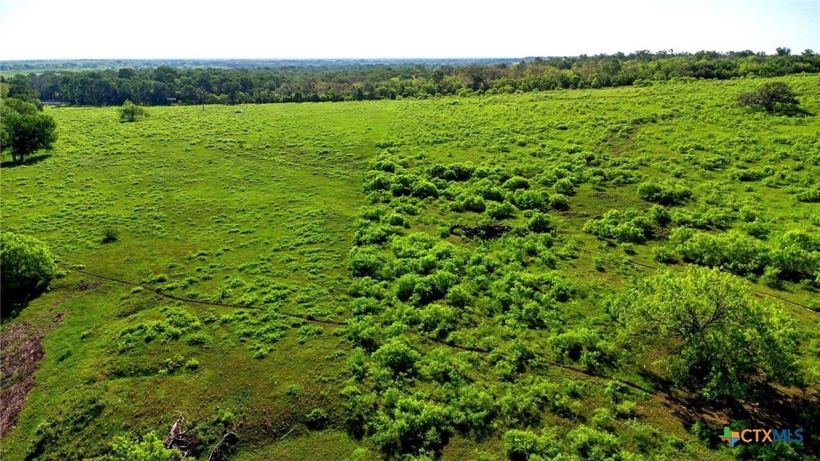 10.01 acres in Gonzales County - photo 16