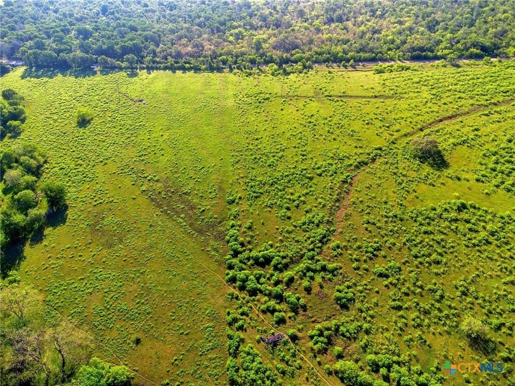 10.01 acres in Gonzales County - photo 7