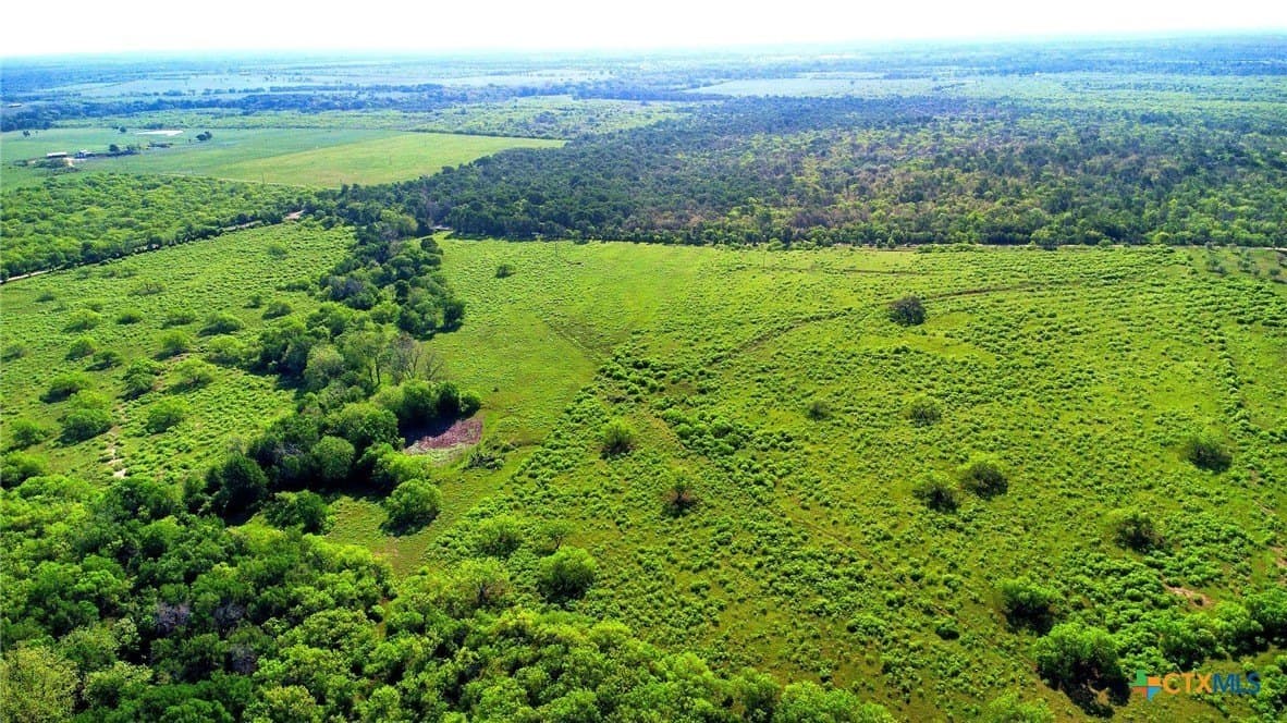 10.01 acres in Gonzales County - photo 20