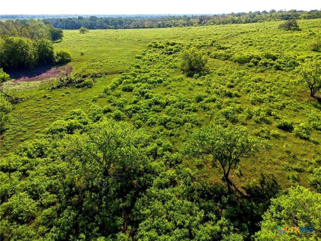 10.01 acres in Gonzales County - photo 10