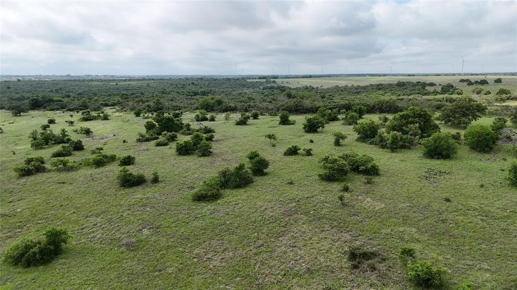 Lot 51 County Road 242