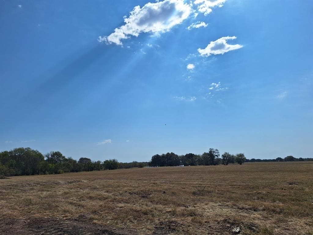 10.01 acres in Lamar County - photo 5
