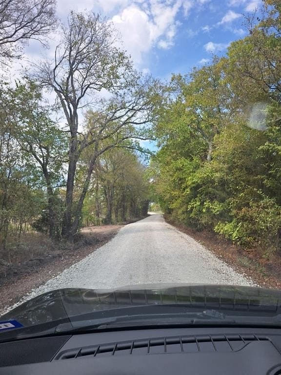 10.01 acres in Lamar County - photo 4