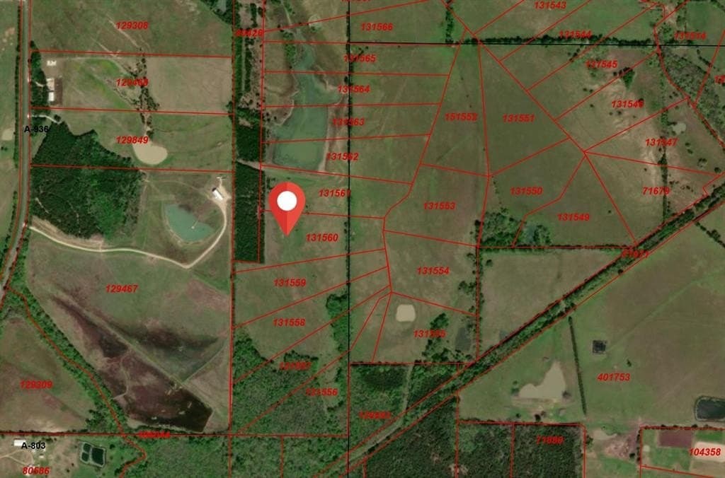 10.01 acres in Lamar County - photo 2