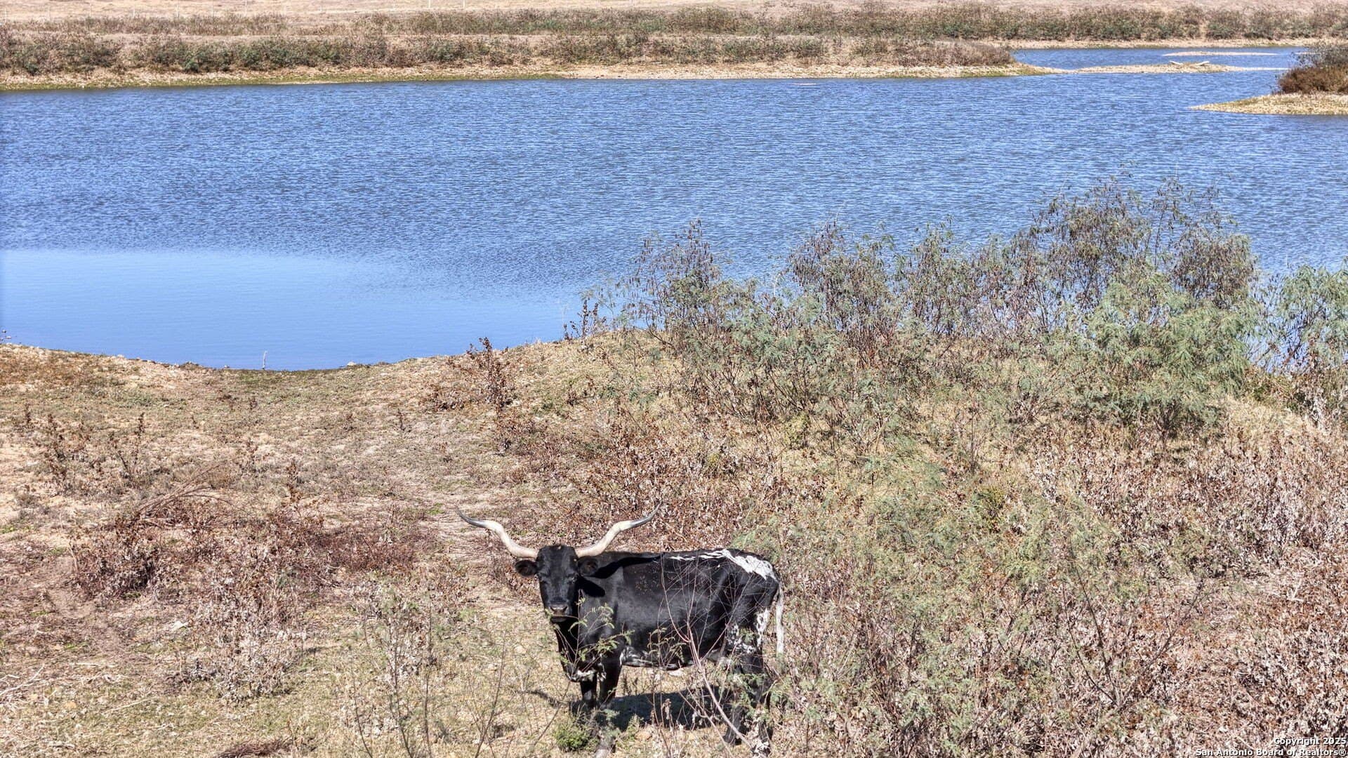 45 acres in Fayette County - photo 78