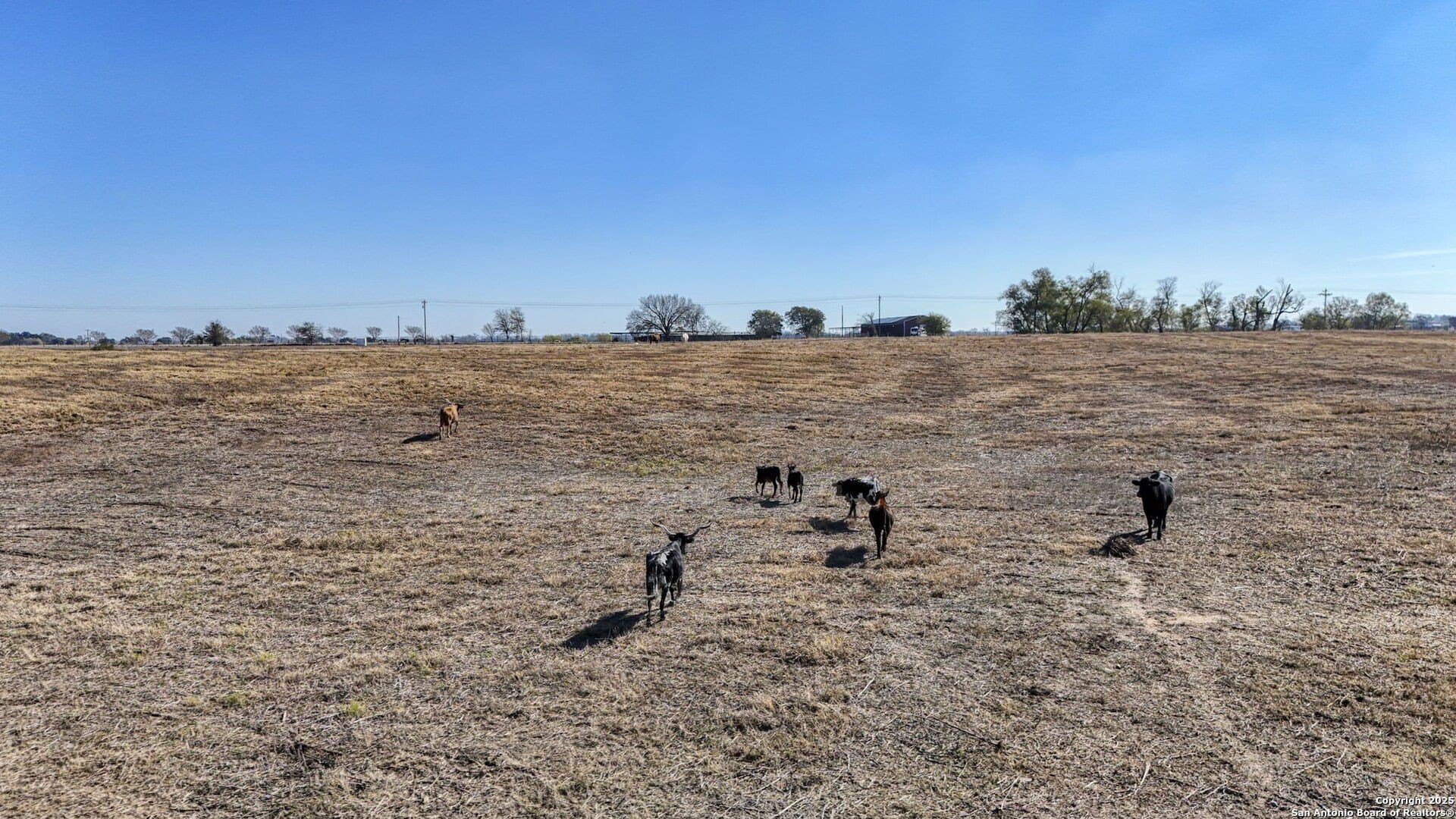 45 acres in Fayette County - photo 79