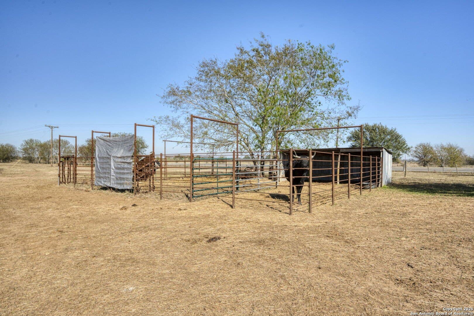 45 acres in Fayette County - photo 40