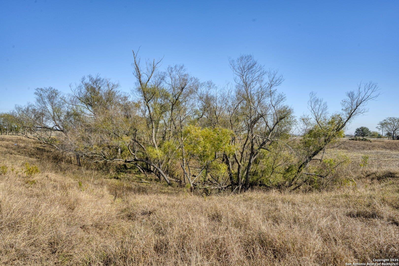 45 acres in Fayette County - photo 28