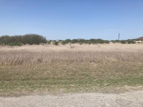 10.06 acres in Jim Wells County - photo 3