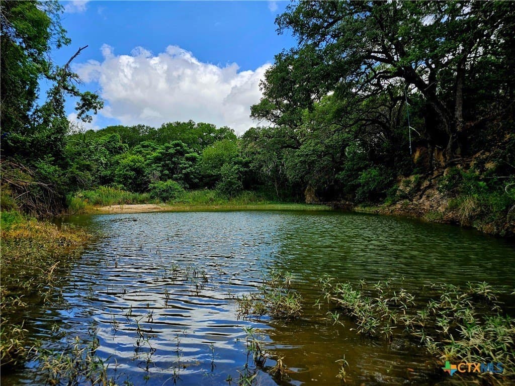 148.11 acres in Williamson County - photo 14