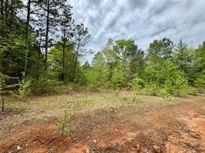 114.2 acres in Cass County - photo 8