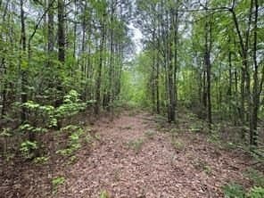 114.2 acres in Cass County - photo 18