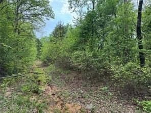 114.2 acres in Cass County - photo 6