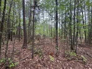 114.2 acres in Cass County - photo 23