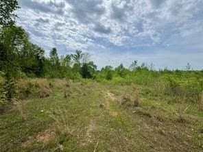 114.2 acres in Cass County - photo 4