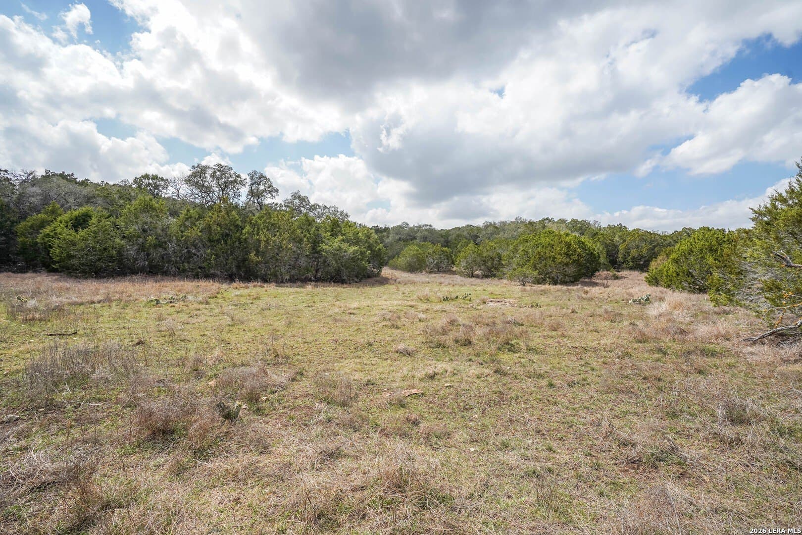 3.89 acres in Comal County - photo 13