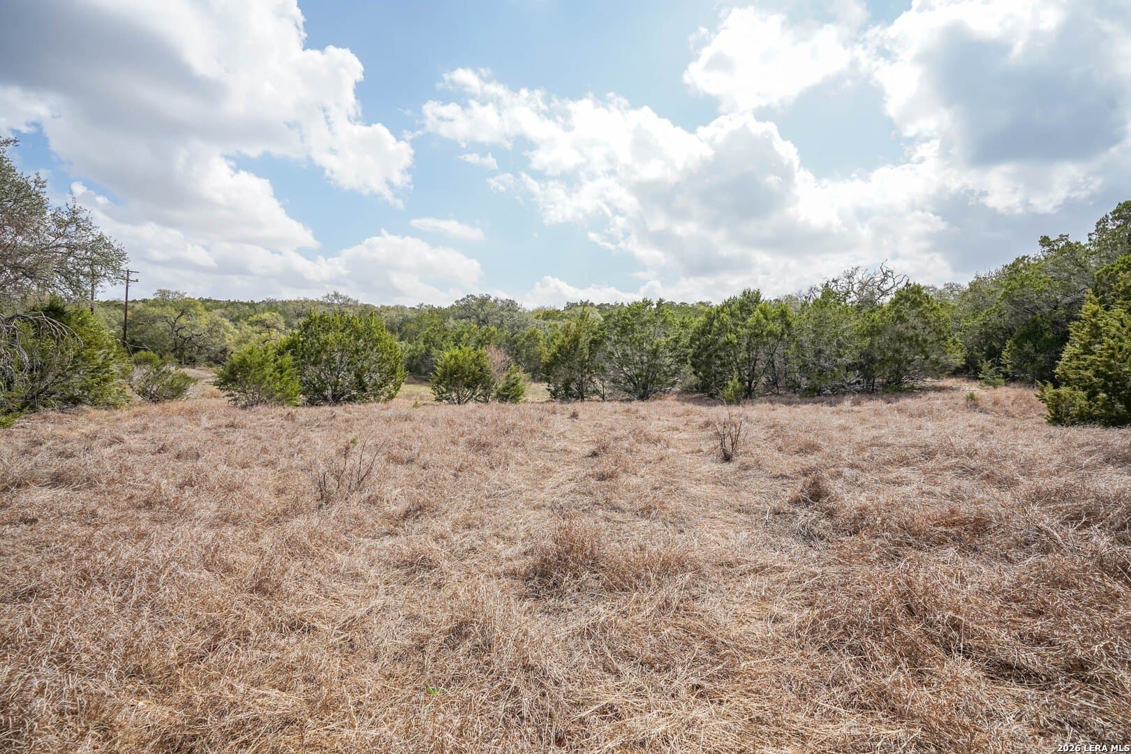 3.89 acres in Comal County - photo 15