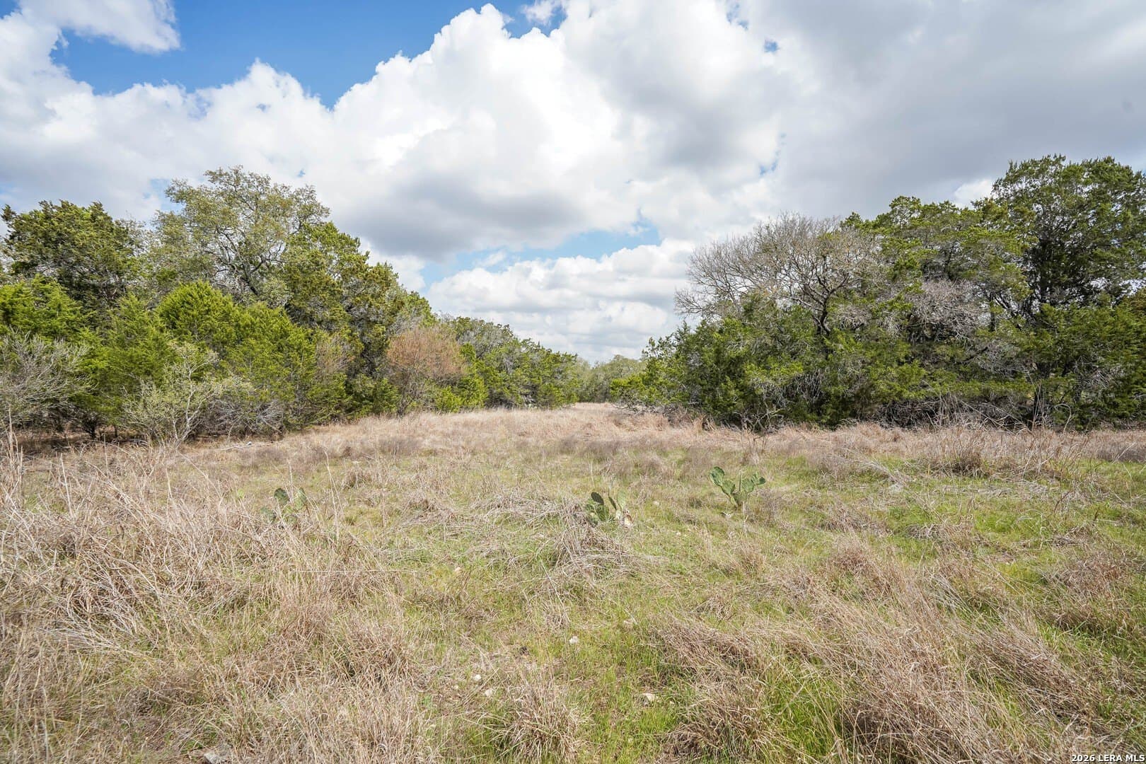 3.89 acres in Comal County - photo 7