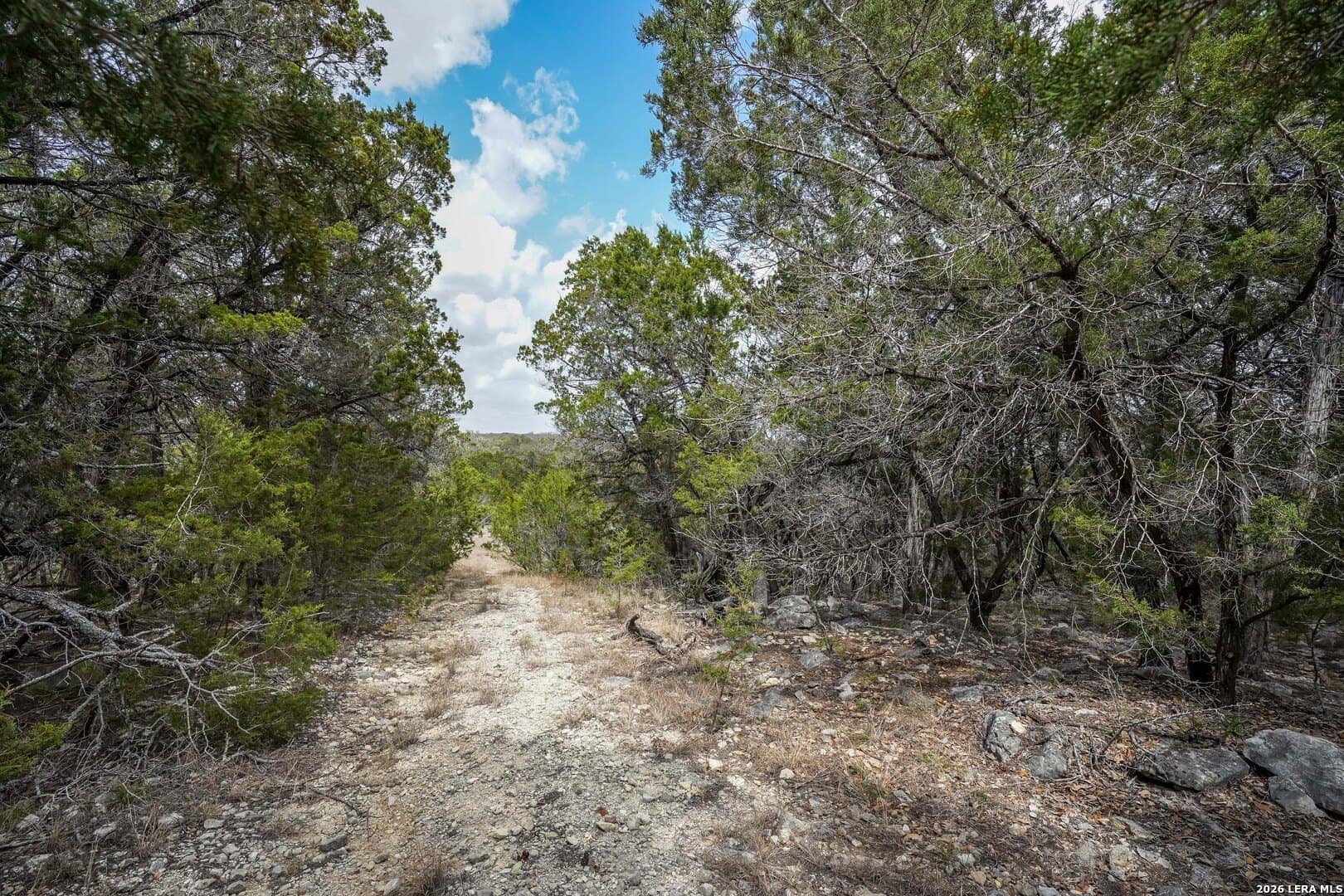 3.89 acres in Comal County - photo 8