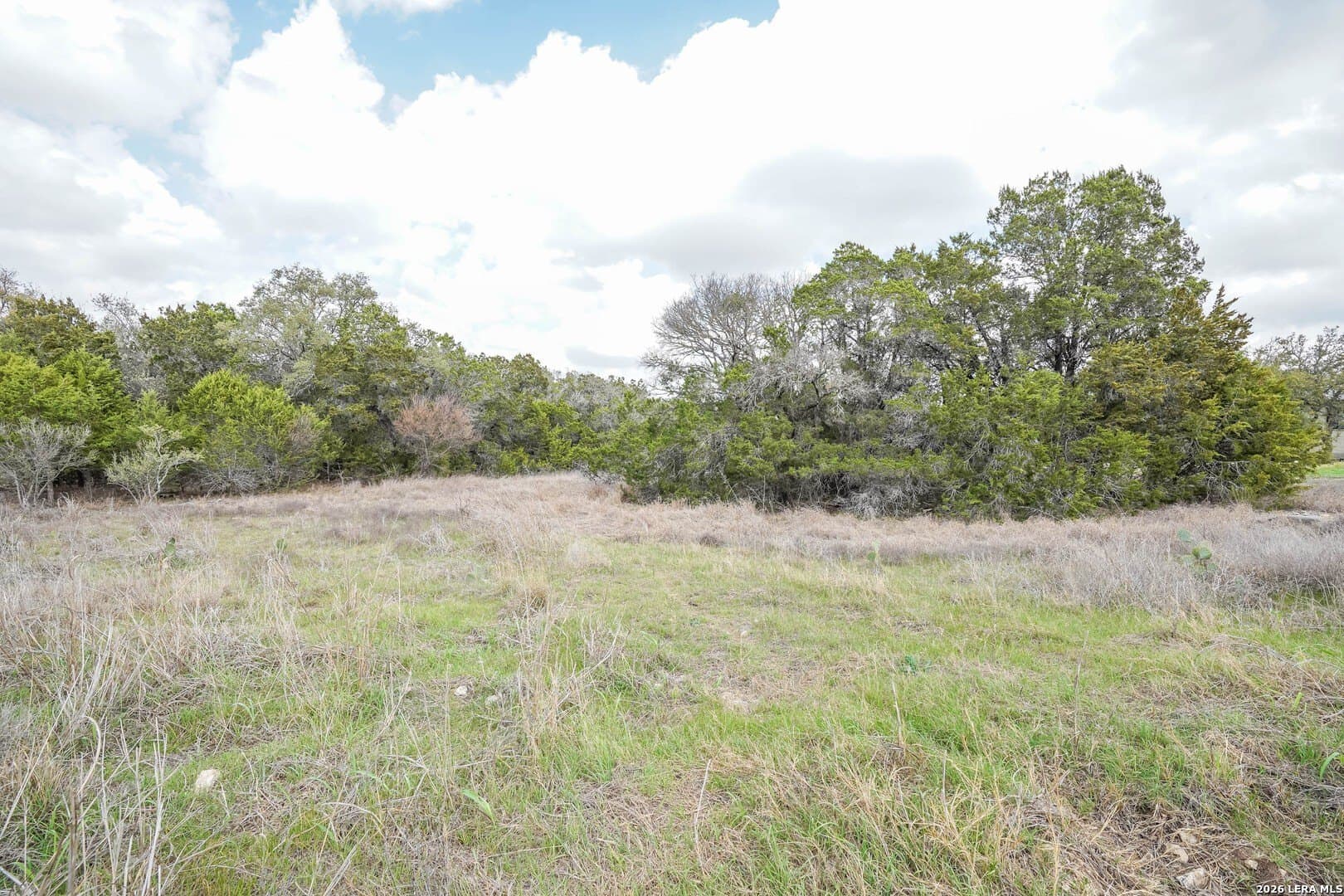 3.89 acres in Comal County - photo 6