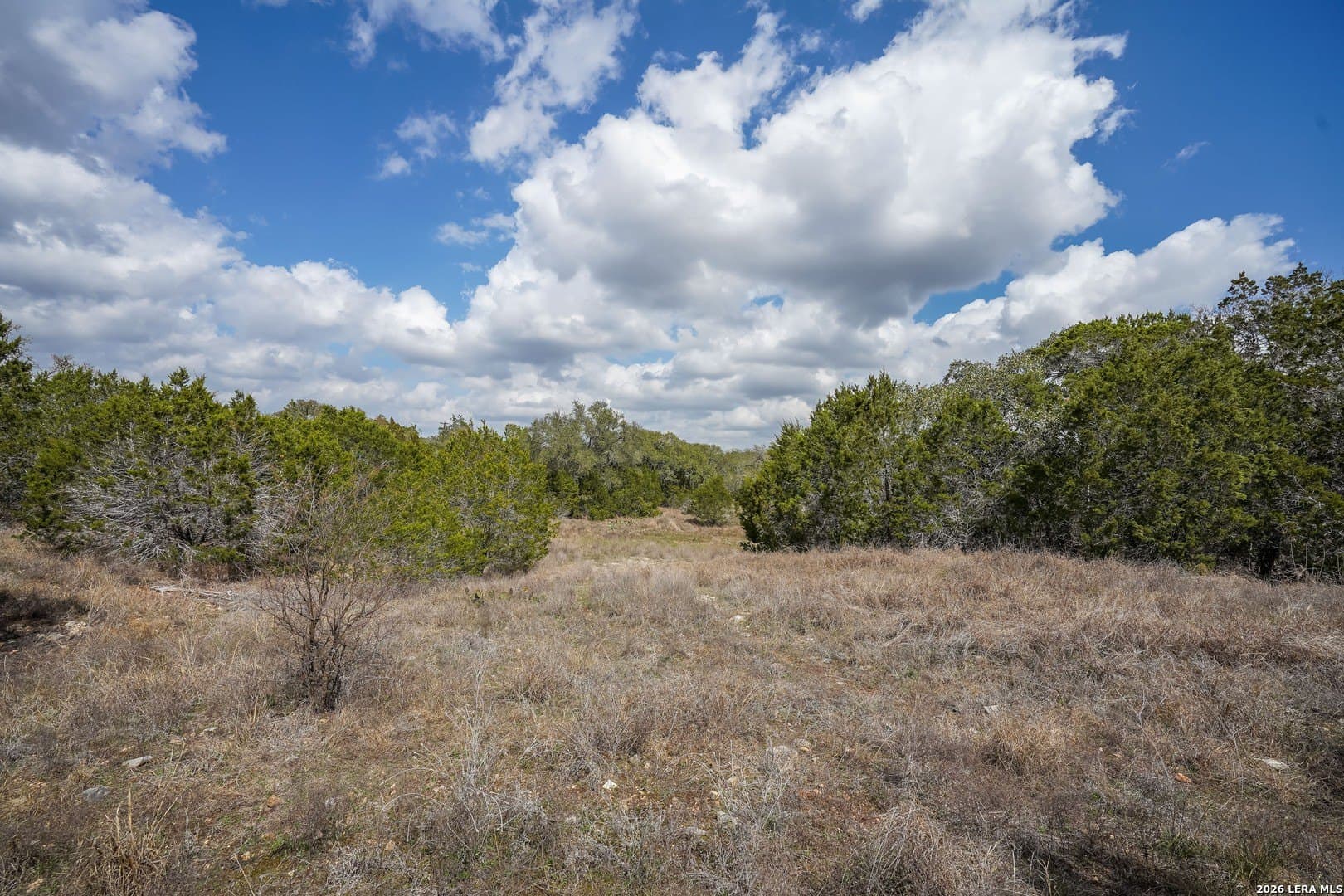 3.89 acres in Comal County - photo 10