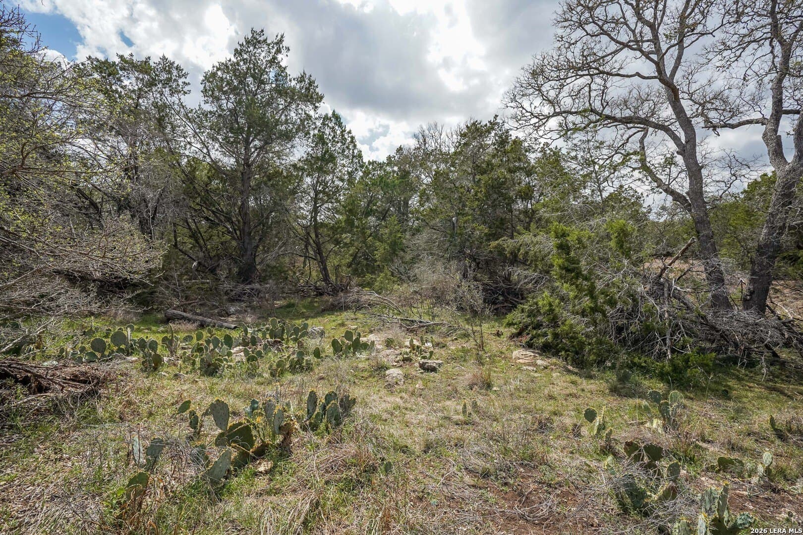 3.89 acres in Comal County - photo 16
