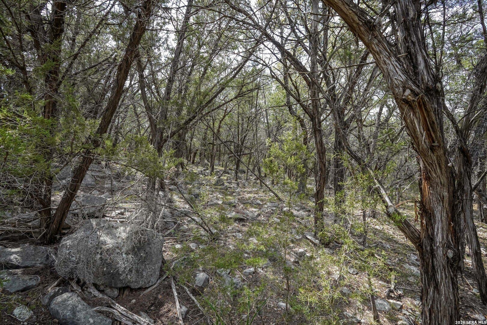 3.89 acres in Comal County - photo 9