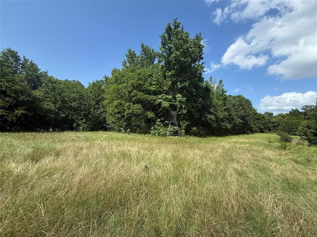 36.9 acres in Hopkins County - photo 3