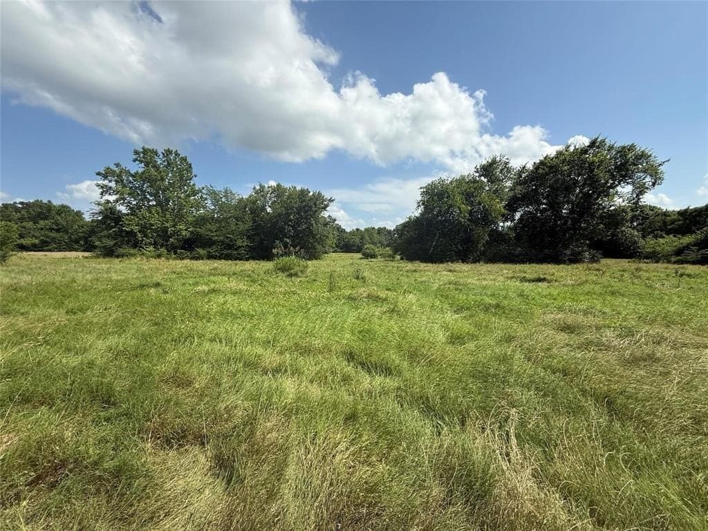 36.9 acres in Hopkins County - photo 7