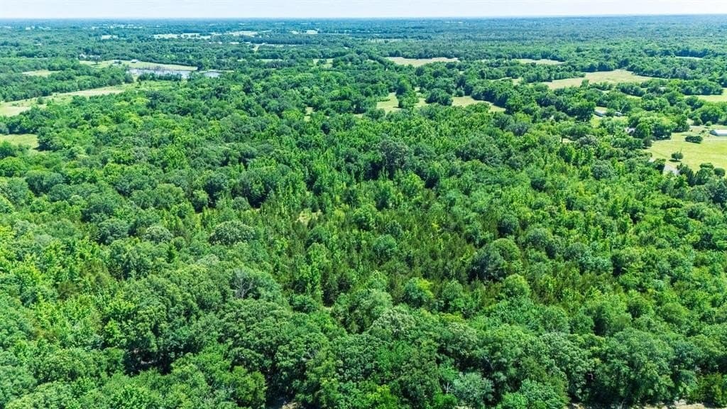 36.9 acres in Hopkins County - photo 4